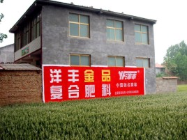 镇雄如何让墙体广告展现最大化效果
