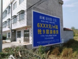 镇雄墙体广告质量分析