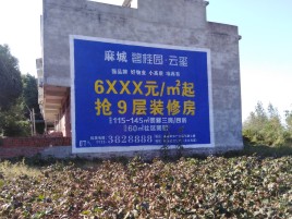 镇雄品牌公司青睐的墙体广告