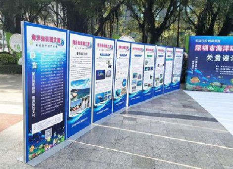 镇雄KT板的种类和知识。